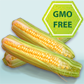 corn-no-gmo.png